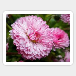 Cute pink flower Sticker